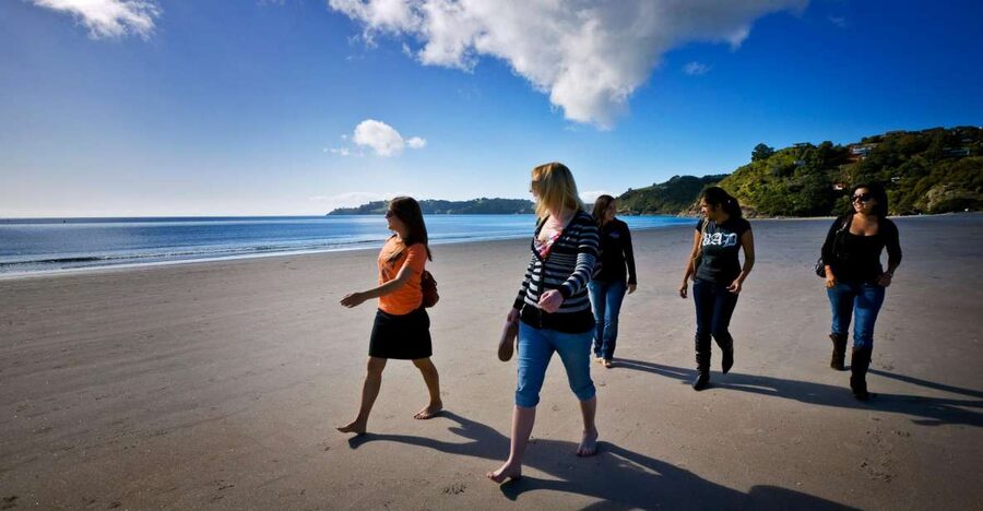 Waiheke Island: Ferry & Hop-On Hop-Off Explorer Bus Tickets - Who this works best for (and who should consider something else)