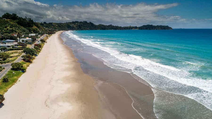 Waiheke Island Gourmet Food and Wine Tour with Platter Lunch - Price and value: is $185 for Waiheke wine and food a fair deal?