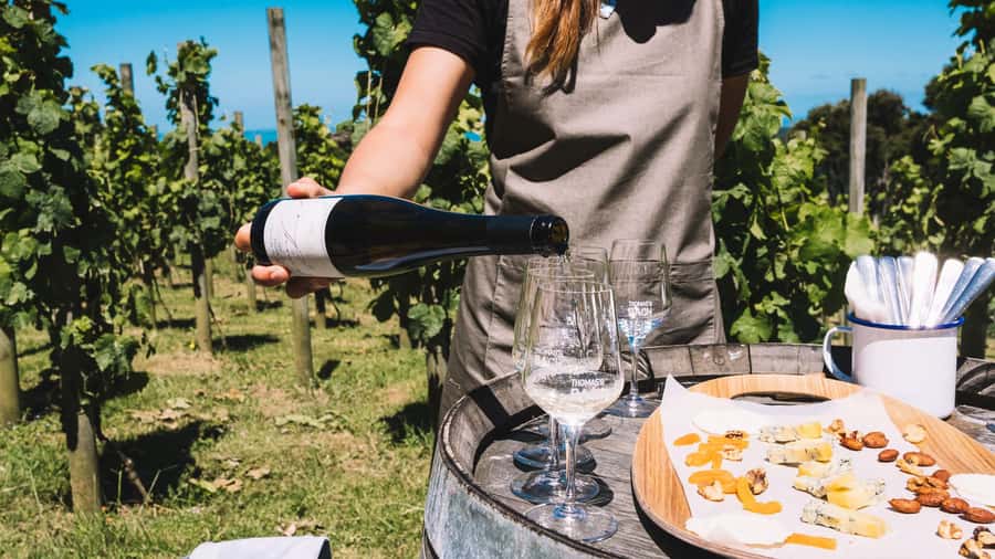 Waiheke Island Gourmet Food and Wine Tour with Platter Lunch - Who this tour suits best, and who should pick something else