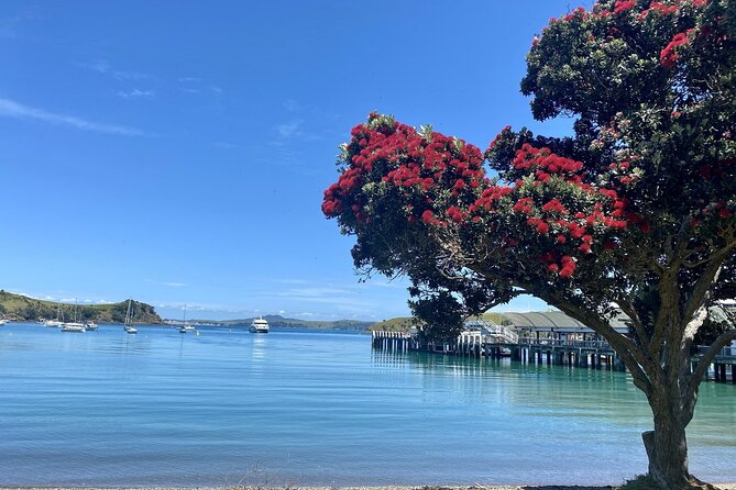 Waiheke Island Gourmet Food and Wine Tour - Price and what you truly get for $212.86