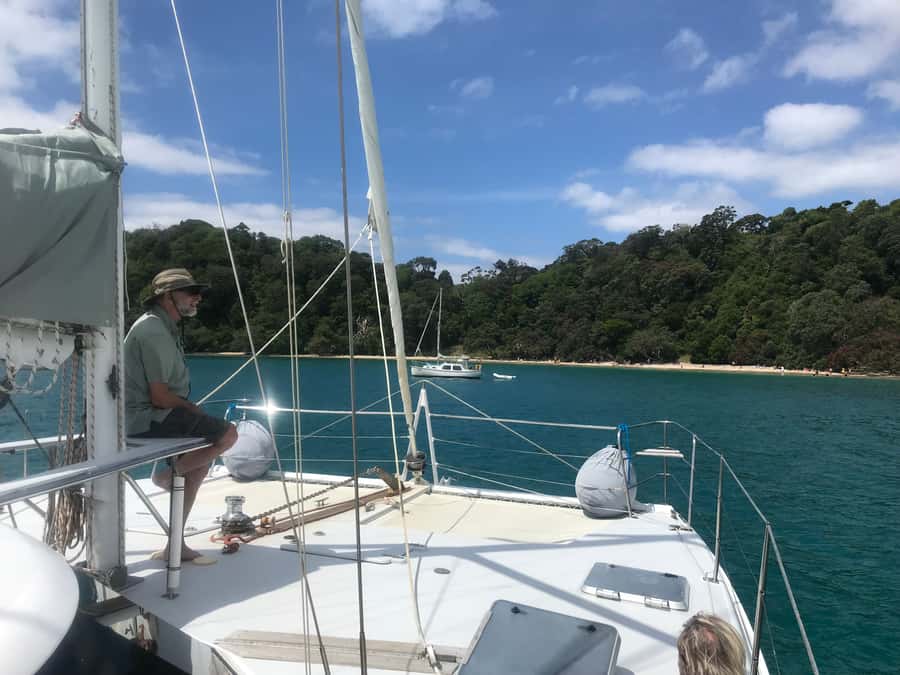Waiheke Island: Gulf Marine Park Sailing Adventure & Lunch - The Outer Hauraki Gulf angle, and why it matters