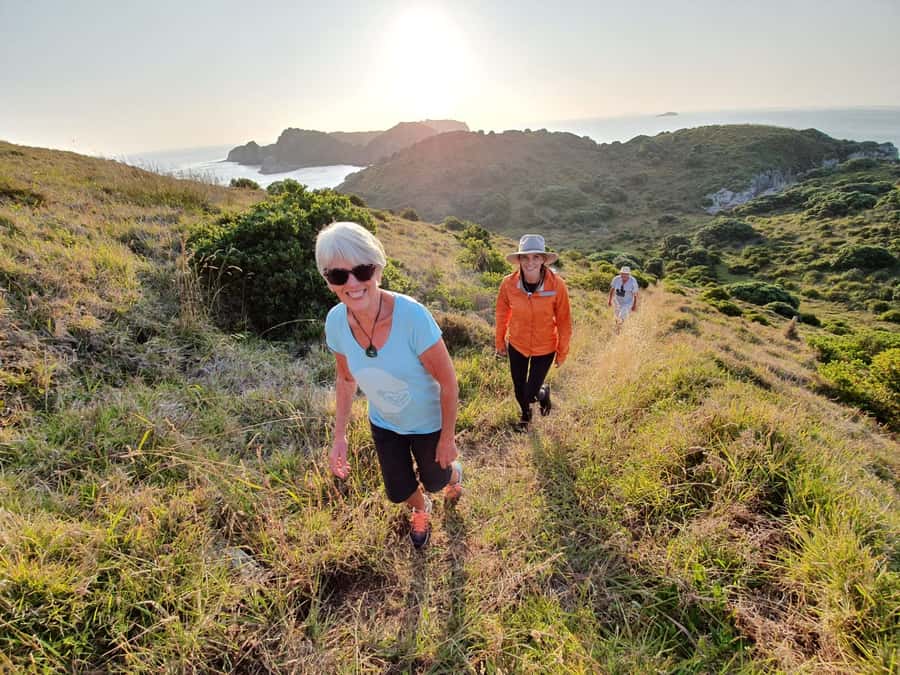Waiheke Island: Gulf Marine Park Sailing Adventure & Lunch - Getting there: Matiatia Wharf and how to plan your day
