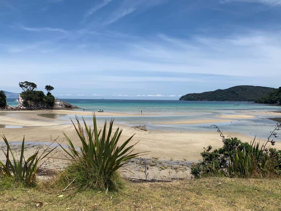 Waiheke Island: Gulf Marine Park Sailing Adventure & Lunch - Swimming, snorkelling, and stand-up paddleboarding in the Gulf