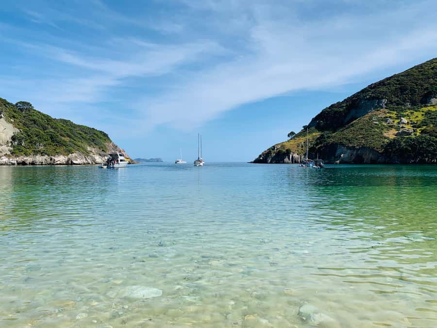 Waiheke Island: Gulf Marine Park Sailing Adventure & Lunch - Conservation storytelling: oceanography, wildlife, and the Gulf’s living system