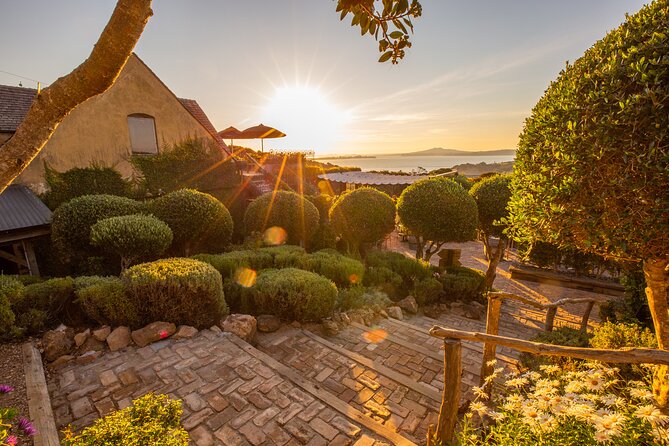 Waiheke Island Half Day Scenic Wine and Lunch - Waiheke in Four Hours, With Wine Fees Covered
