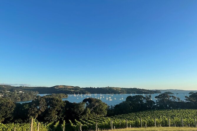 Waiheke Island Half Day Scenic Wine and Lunch - The Final Gulf-View Vineyard Stop, and the Dinner Choice