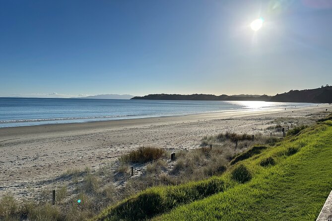 Waiheke Island Half Day Scenic Wine and Lunch - How the Small Group Style Actually Feels on the Road