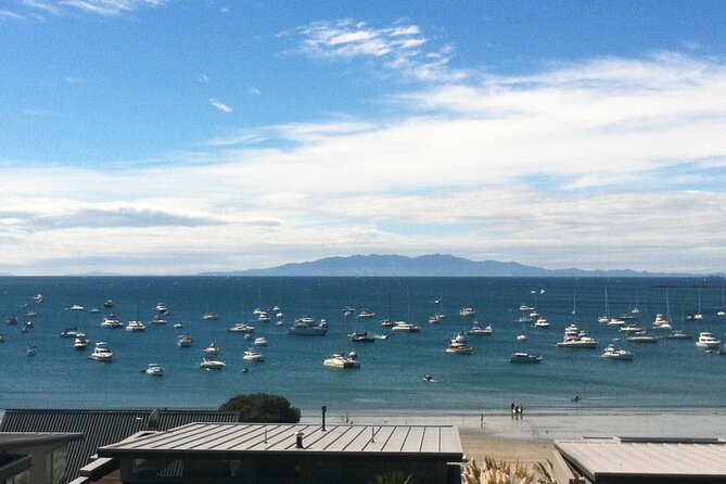 Waiheke Island Half Day Scenic Wine and Lunch - Price Check: Is $170.66 Good Value?