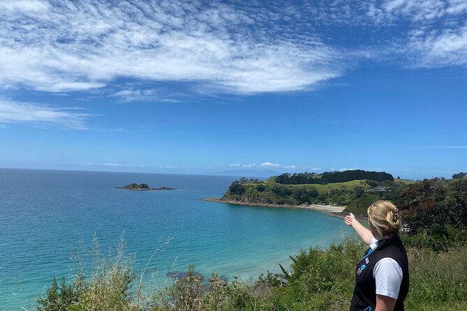 Waiheke Island Half Day Scenic Wine and Lunch - Getting There: Matiatia Ferry Timing and Meeting Point