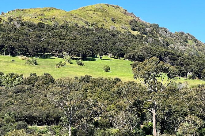 Waiheke Island History and Heritage Tour - Pa site summit and the archaeology you can picture with your feet