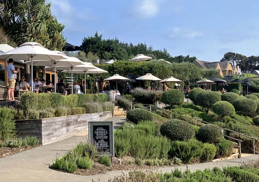 Waiheke Island: Premium Vineyard, Wine Tasting and Bush Walk - Mudbrick Vineyard wine tasting: your first pour sets the tone