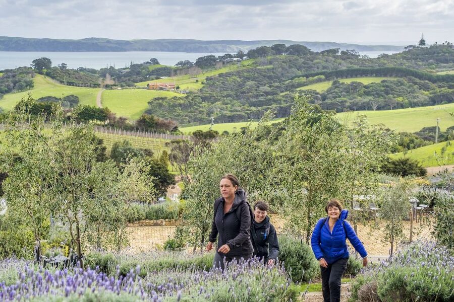 Waiheke Island: Premium Vineyard, Wine Tasting and Bush Walk - Coffee and a bite on your own: a smart break in the middle