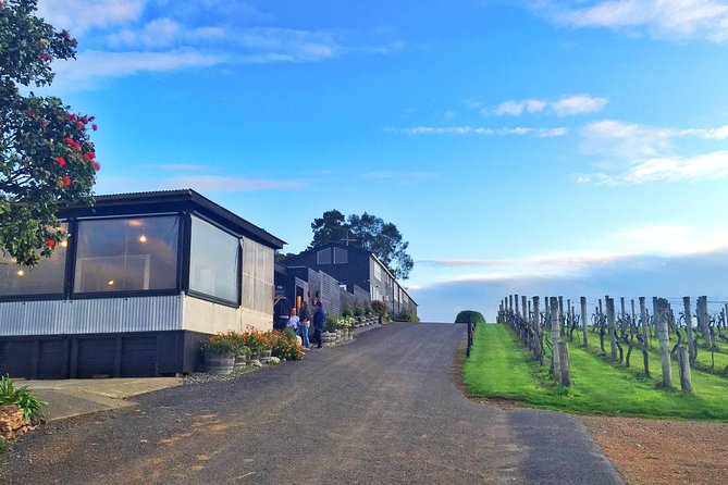 Waiheke Island Premium Wine Tour with Tastings - Key reasons this Waiheke wine tour works