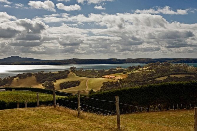 Waiheke Island Private Art Tour - What to pack for Waiheke’s weather and a leisurely walking day