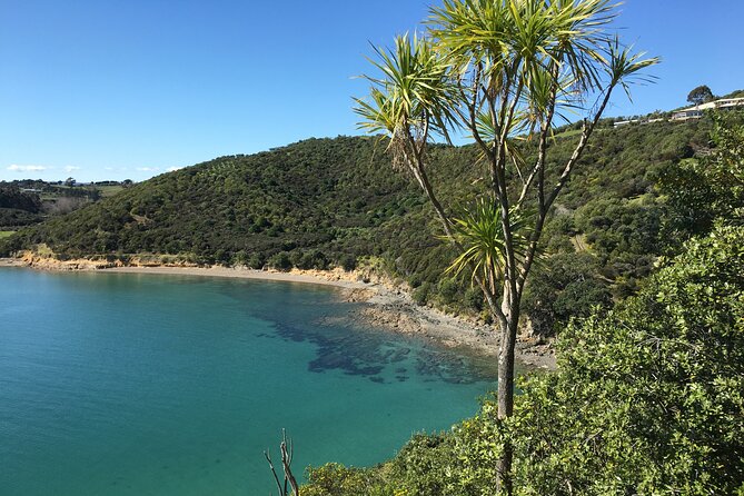 Waiheke Island Private Double Headland Walk - What the guide adds, especially with Cindy and Justine
