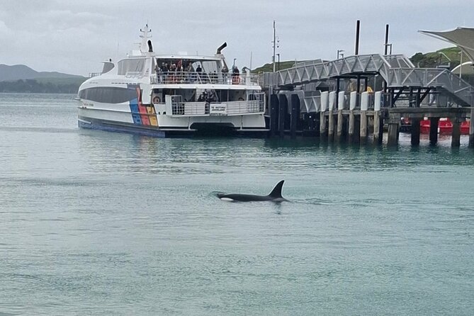 Waiheke Island Private Tours - Getting picked up and planning your day in 4 hours