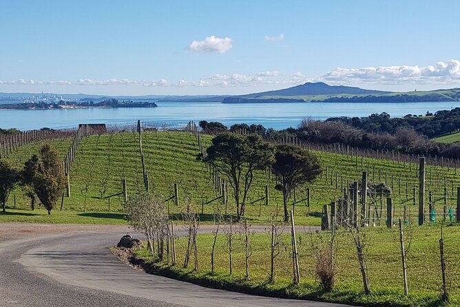 Waiheke Island Private Tours - Art and food stops that keep the day from feeling like a loop