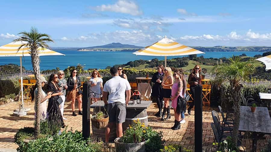 Waiheke Island: Scenic Island Wine Tour & Local Wine Tasting - Key Highlights You’ll Actually Feel