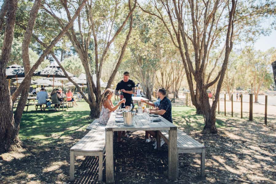 Waiheke Island: Scenic Island Wine Tour & Local Wine Tasting - Views That Drive the Route: Hauraki Gulf to Rangitoto