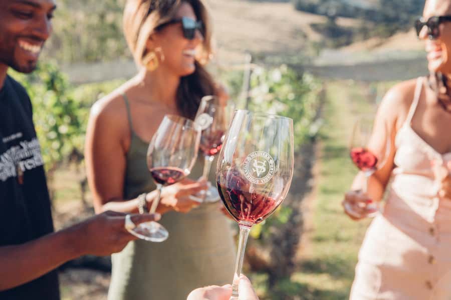 Waiheke Island: Scenic Island Wine Tour & Local Wine Tasting - Waiheke’s Wine Country, Without the DIY Stress