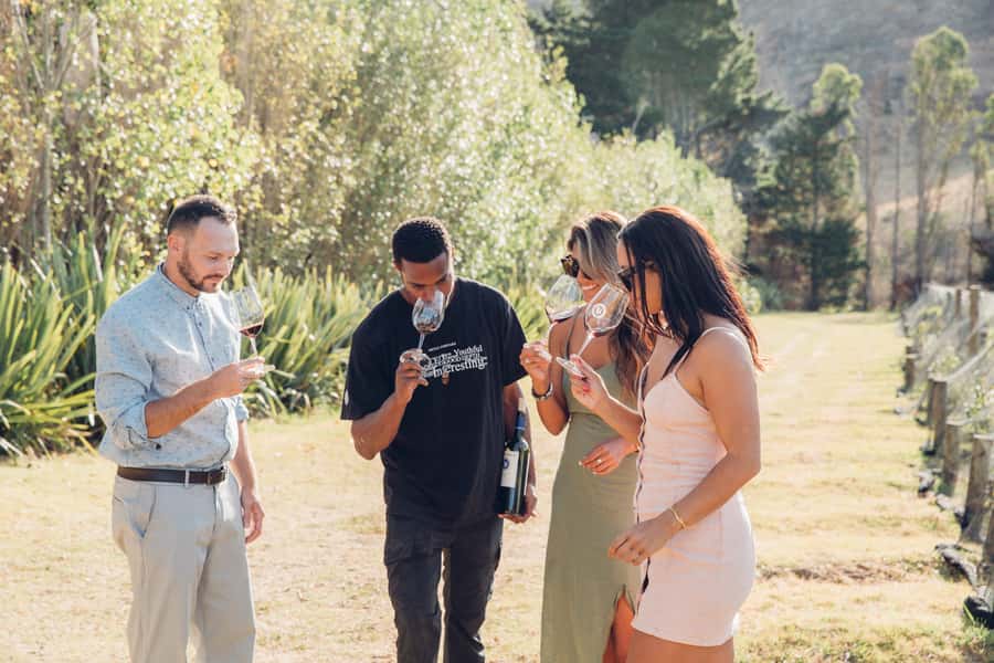 Waiheke Island: Scenic Island Wine Tour & Local Wine Tasting - Getting From Matiatia: The Start That Keeps the Day Moving