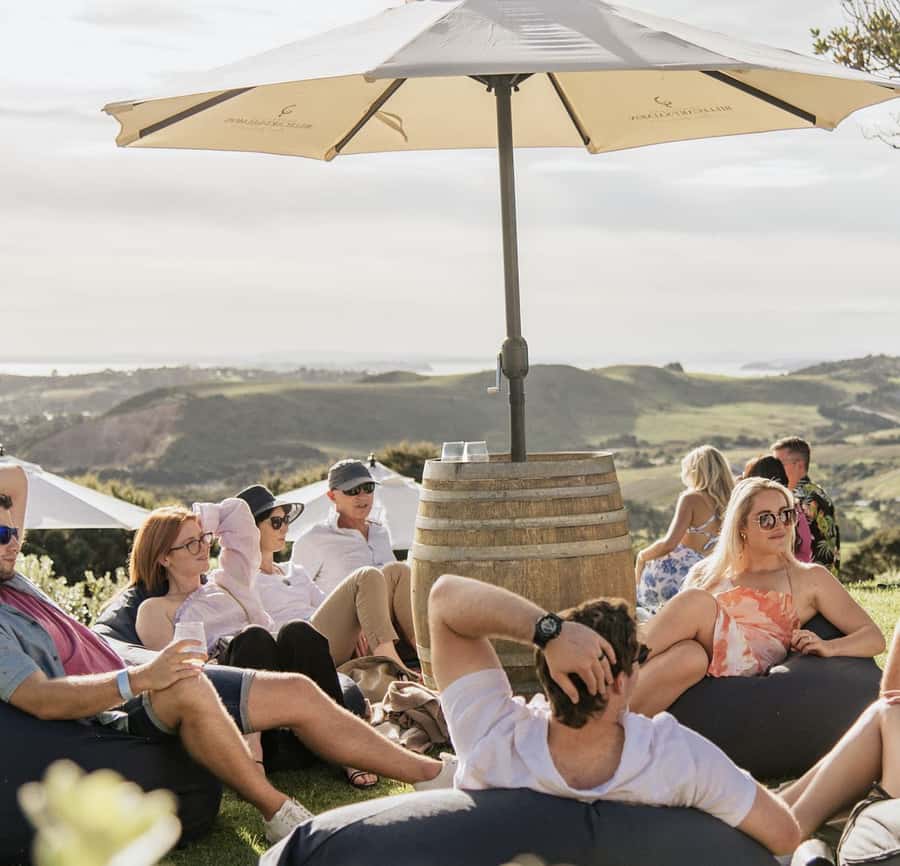 Waiheke Island: Scenic Island Wine Tour & Local Wine Tasting - Price and What the $113 Includes (and Why It’s Reasonable)