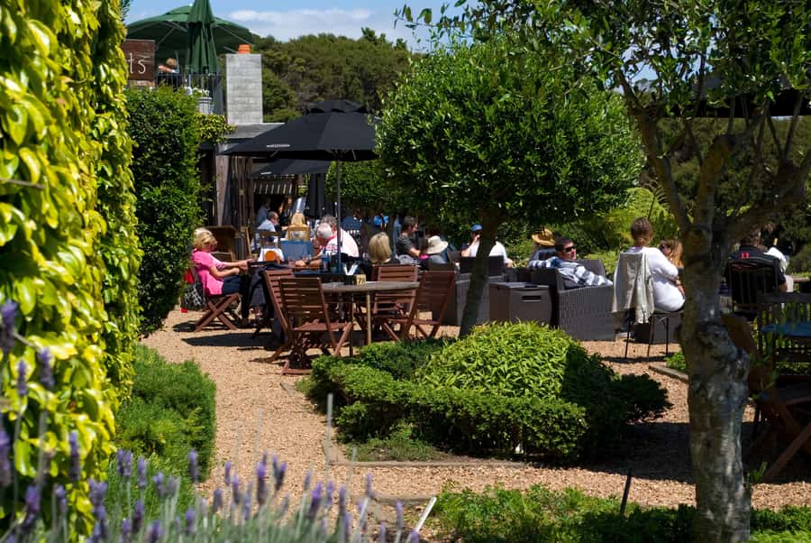 Waiheke Island: Scenic PREMIUM Wine Tour. Max 11 clients - Key highlights that matter