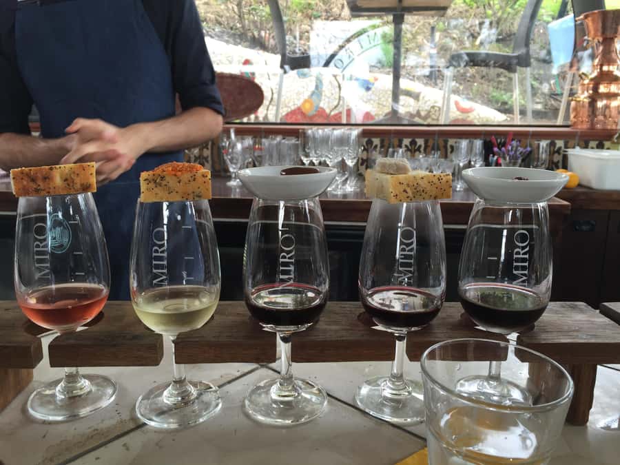Waiheke Island: Scenic PREMIUM Wine Tour. Max 11 clients - Three boutique vineyards: what tastings feel like in a small group