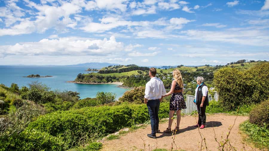 Waiheke Island: The Essence of Waiheke Wine Tour - Practical Tips That Make the Day Smoother