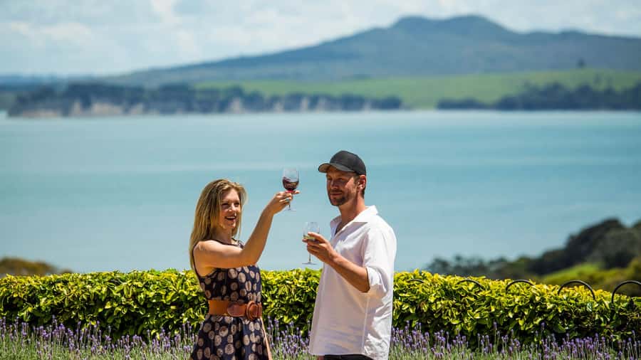 Waiheke Island: The Essence of Waiheke Wine Tour - The Itinerary in Plain English, and What Each Stop Really Adds