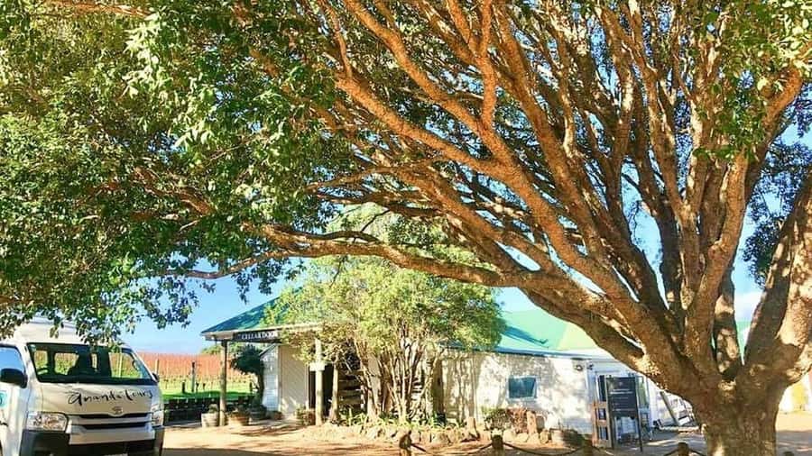 Waiheke Island: The Essence of Waiheke Wine Tour - Who Should Book This Tour, and Who Should Skip It