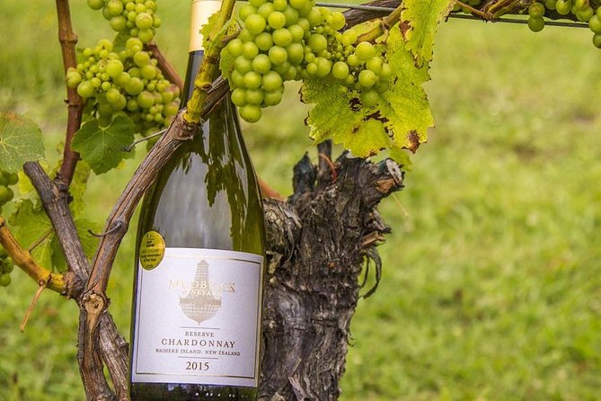 Waiheke Island Vineyards and Bush Walk - What to pack for weather and comfort