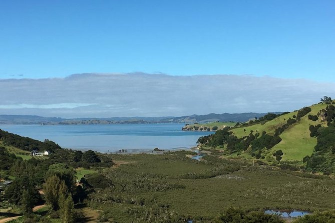 Waiheke Island Vineyards and Bush Walk - Who should book this Waiheke walk