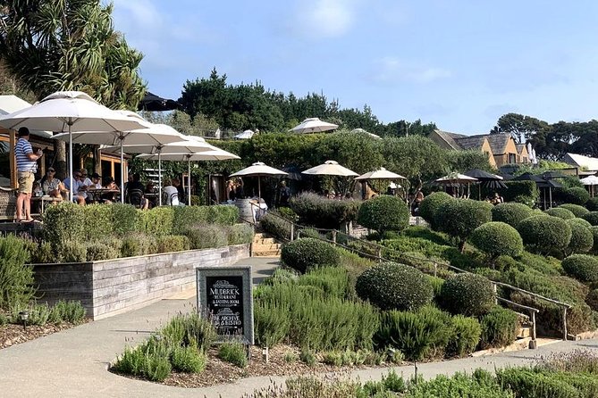 Waiheke Island Vineyards and Bush Walk - The walk itself: bush, headlands, and those sea-view turns