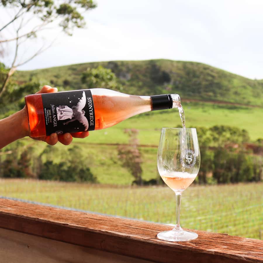 Waiheke Island: Wine Tour & Lunch at Award Winning Venue - Key highlights at a glance