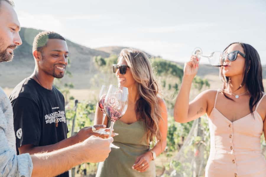 Waiheke Island: Wine Tour & Lunch at Award Winning Venue - Three vineyards in Onetangi Valley, tastings that fit real tastes
