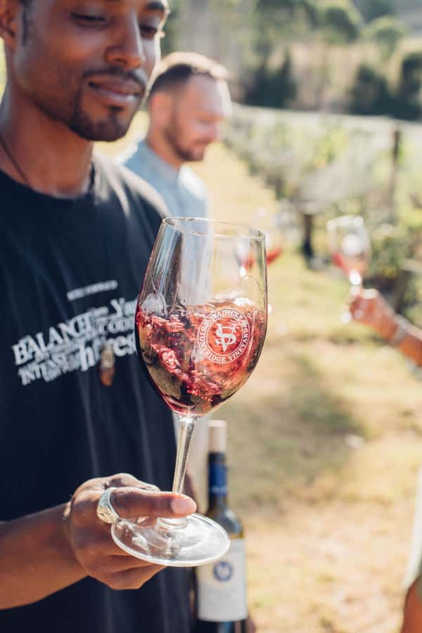 Waiheke Island: Wine Tour & Lunch at Award Winning Venue - The drive between vineyards: where the guide earns their keep