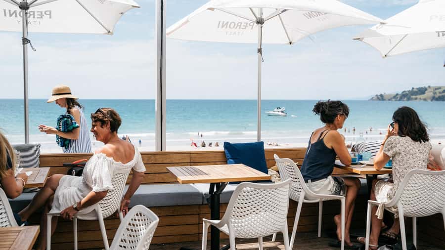 Waiheke Island: Wine Tour & Lunch at Award Winning Venue - Transportation and group vibe: comfort, timing, and meeting people
