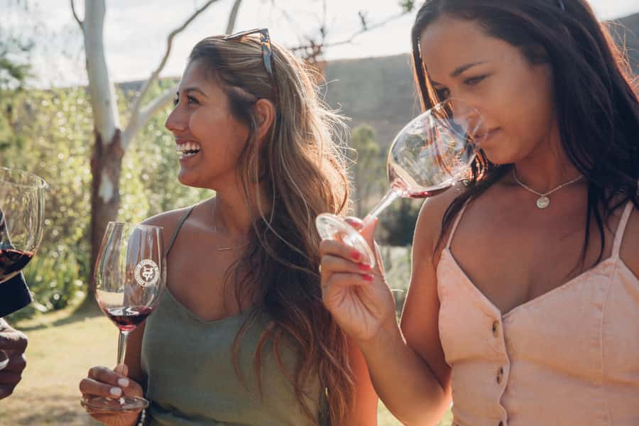Waiheke Island: Wine Tour & Lunch at Award Winning Venue - Wine tasting reality check: how to enjoy it without overdoing it