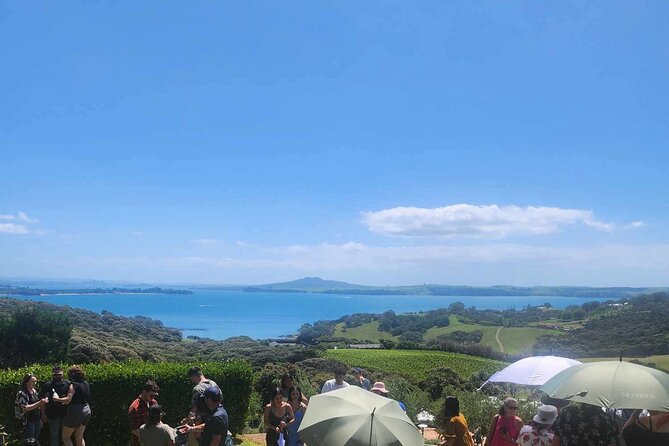 Waiheke Island Wine Tour with Tastings & Gourmet Beachfront Lunch - Key points to clock before you go