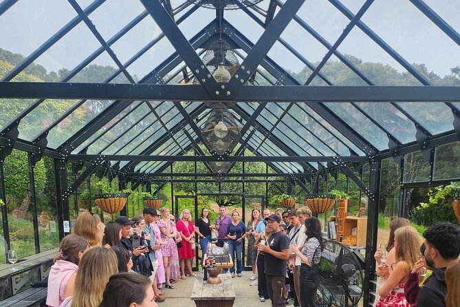 Waiheke Island Wine Tour with Tastings & Gourmet Beachfront Lunch - Getting to Waiheke: Matiatia timing is the whole game