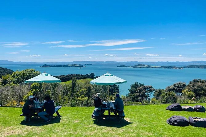 Waiheke Island Wine Tour with Tastings & Gourmet Beachfront Lunch - Stonyridge Vineyard tasting, with a Plan B if needed
