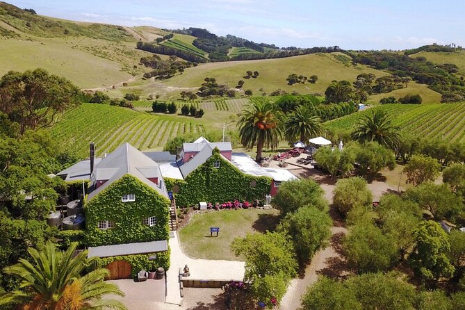 Waiheke Island Wine Tour with Tastings & Gourmet Beachfront Lunch - The guides: why Caleb, Debbie, Shirley, Rob, and Noorora get praise