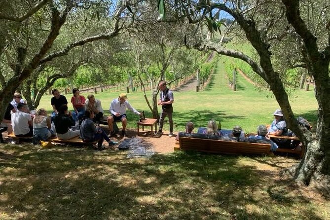 Waiheke Island Wine Tour with Tastings & Gourmet Beachfront Lunch - Price and value: why $186.17 can work out well