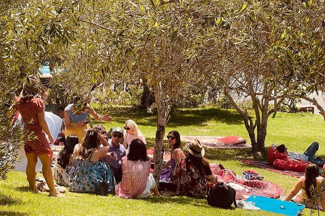 Waiheke Island Wine Tour with Tastings & Gourmet Beachfront Lunch - Cable Bay Vineyards: start with a cellar-door tasting set