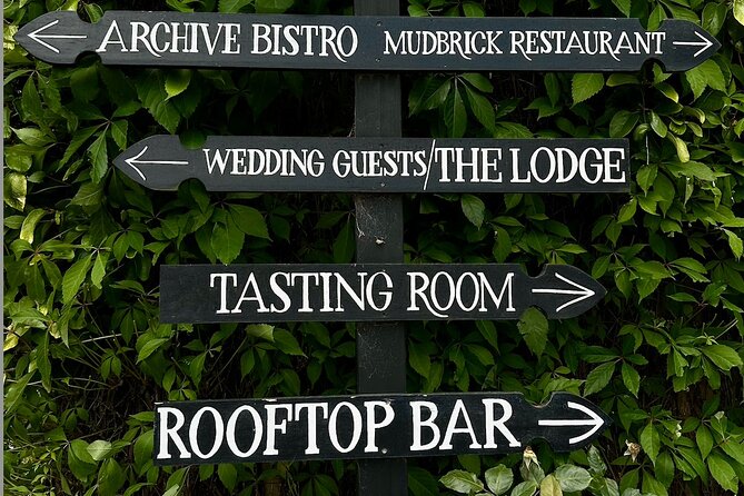 Waiheke island wine tours with Waitiki Tours - The small-group factor: why max six people makes a real difference