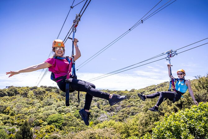 Waiheke Island: Zipline And Forest Walk - Key points at a glance