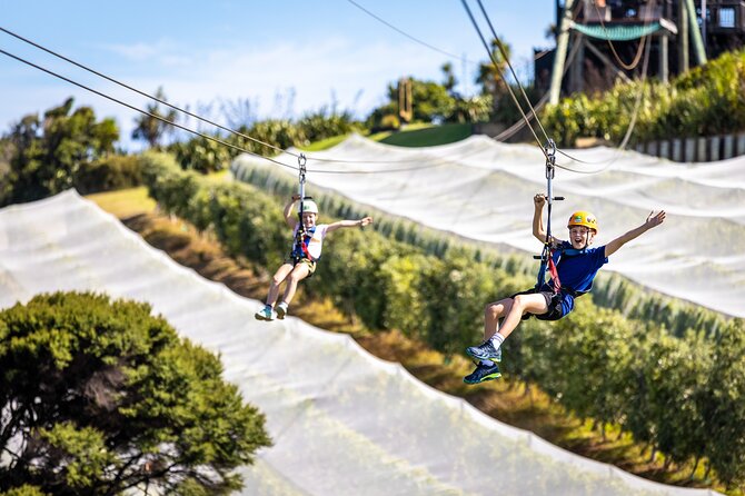 Waiheke Island: Zipline And Forest Walk - The Forest Walk Back: Calm Legs After Big Adrenaline