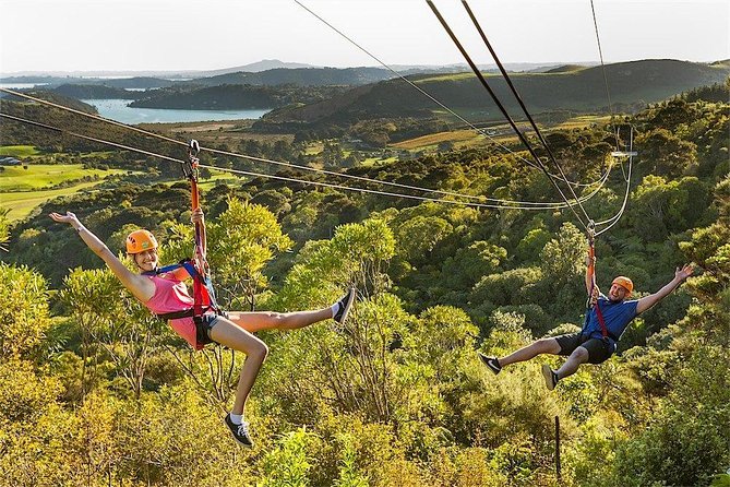 Waiheke Island: Zipline And Forest Walk - Safety, Weather, and the Stuff You Should Not Rush