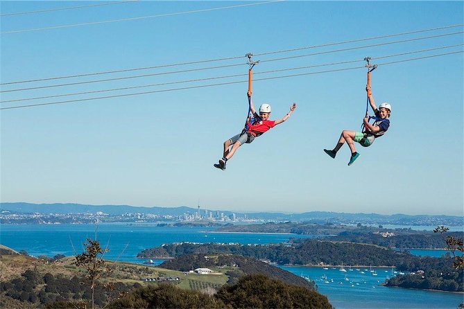 Waiheke Island: Zipline And Forest Walk - Price and Value: Is $92.47 Worth It on Waiheke?